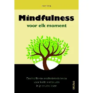Afbeelding van Mindfulness voor elk moment