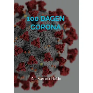 Afbeelding van 100 dagen corona