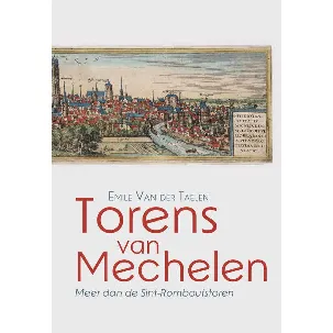 Afbeelding van Torens van Mechelen - Meer dan de Sint-Romboutstoren