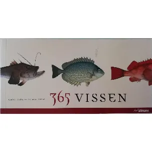 Afbeelding van 365 vissen