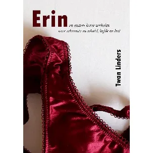Afbeelding van Erin en andere korte verhalen over schaamte en schuld, liefde en lust