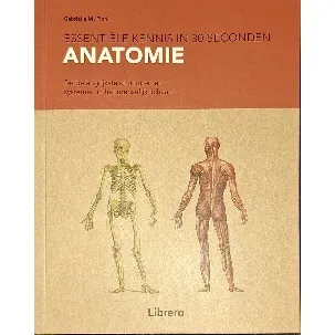 Afbeelding van Anatomie