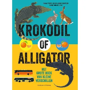 Afbeelding van Krokodil of alligator