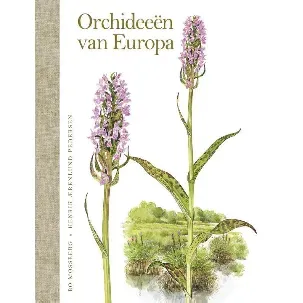 Afbeelding van Orchideeën van Europa