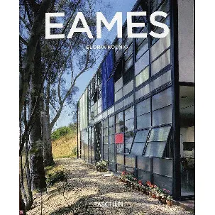 Afbeelding van Eames