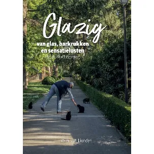 Afbeelding van Glazig; van glas, barkrukken en sensatielusten (De pakkatbezorger)