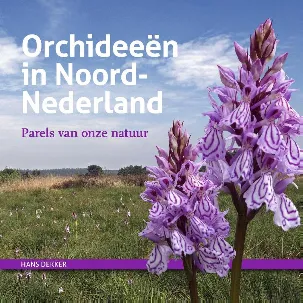 Afbeelding van Orchideeën in Noord-Nederland
