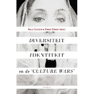 Afbeelding van Diversiteit, identiteit en de ‘culture wars’