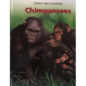 Afbeelding van Chimpansees