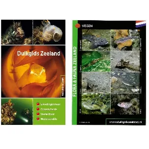Afbeelding van Duikgids Zeeland + vis ID kaart