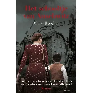 Afbeelding van Het schooltje van Auschwitz