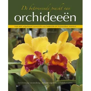 Afbeelding van Betoverende Pracht Van Orchideeen