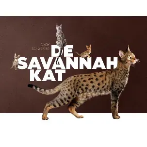 Afbeelding van De Savannah kat