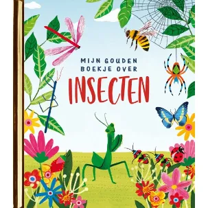 Afbeelding van Mijn Gouden Boekje over insecten