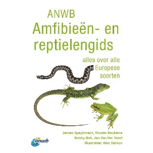 Afbeelding van ANWB natuurgidsen - ANWB Amfibieën- en reptielengids