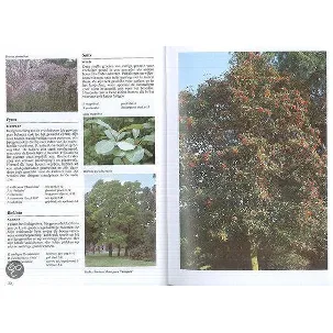 Afbeelding van Encyclopedie - Tuinplanten encyclopedie