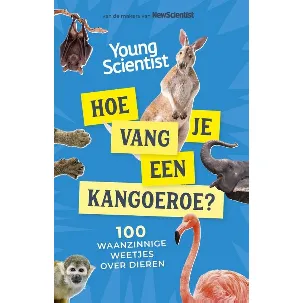 Afbeelding van Hoe vang je een kangoeroe?