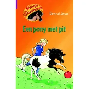 Afbeelding van Manege de Zonnehoeve - Een pony met pit