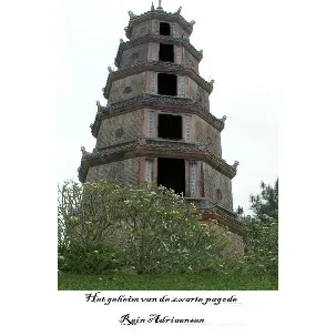 Afbeelding van Het geheim van de zwarte pagode