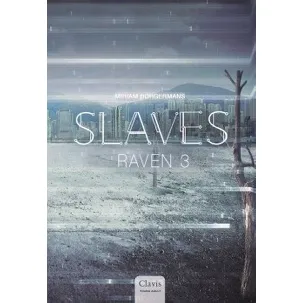 Afbeelding van Slaves 5 - Raven 3