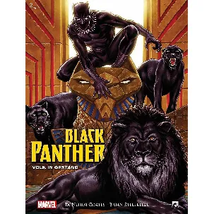 Afbeelding van Black Panther 2 - Volk in opstand