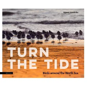 Afbeelding van Turn the tide