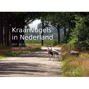 Afbeelding van Kraanvogels in Nederland