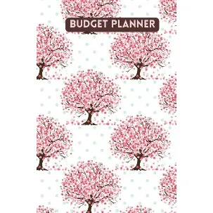 Afbeelding van Budget planner - Kasboek - Huishoudboekje - Budgetplanner : Law of Attraction Editie