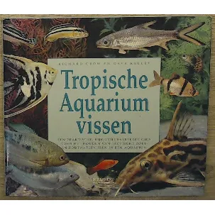 Afbeelding van Tropische aquariumvissen