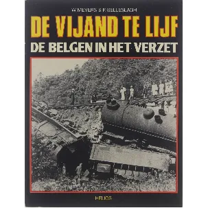 Afbeelding van De vijand te lijf: De Belgen in het verzet