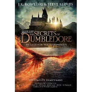 Afbeelding van Fantastic Beasts: The Secrets of Dumbledore / De geheimen van Perkamentus