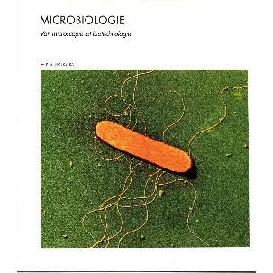 Afbeelding van Microbiologie