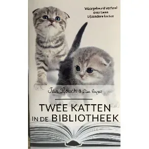 Afbeelding van Twee katten in de Bilbliotheek