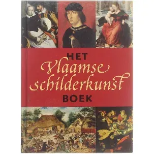 Afbeelding van Het Vlaamse schilderkunst boek