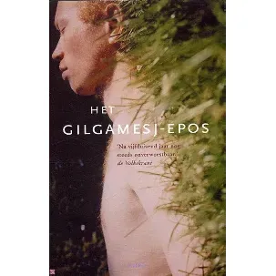 Afbeelding van Het Gilgamesj-epos